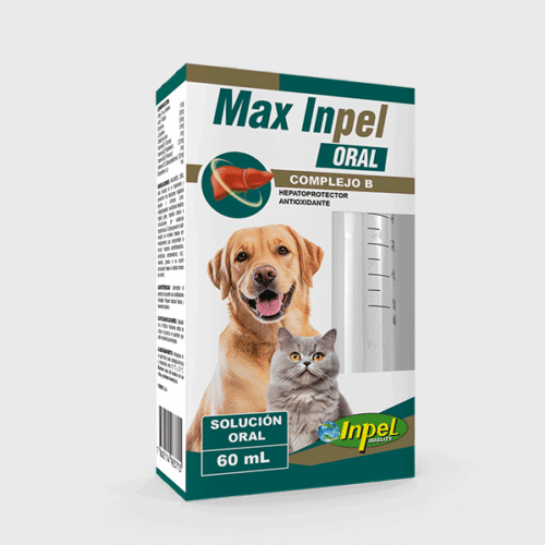 MAX INPEL ORAL