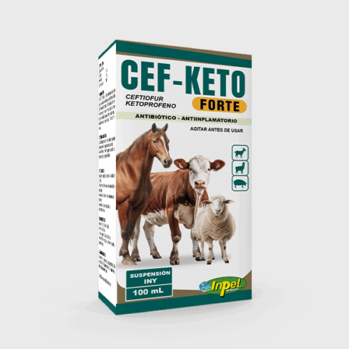 CEF-KETO FORTE
