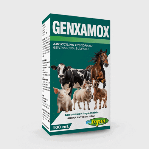 GENXAMOX
