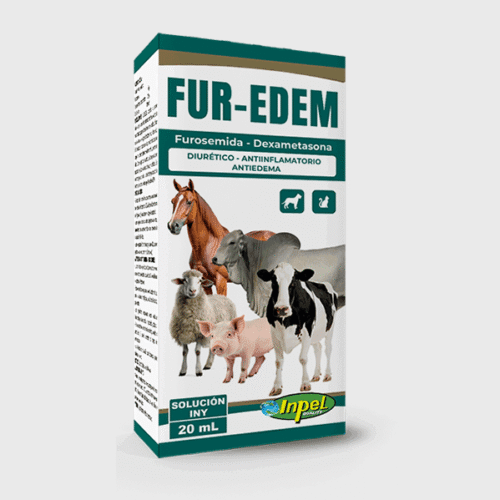 FUR-EDEM