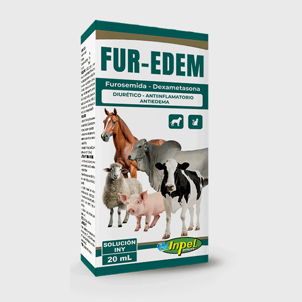FUR-EDEM